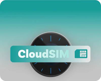 <h3>No SIM Card or Wi-Fi Needed</h3>